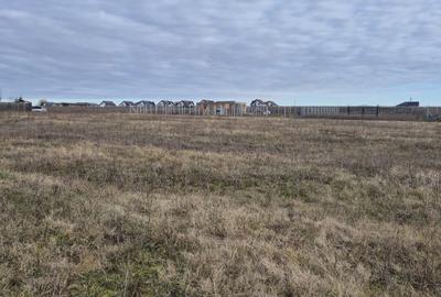 Teren Construcții intravilan de 750 mp, în Bod - 2