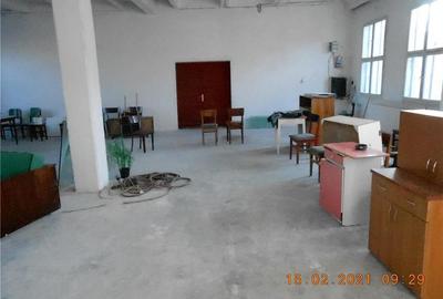 Spațiu comercial, de 800 mp, în Ineu - 2