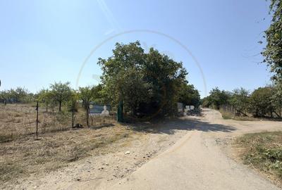 De vanzare Teren extravilan 2000 mp Carei - Gradina Viilor, Valea Tireamului - 7