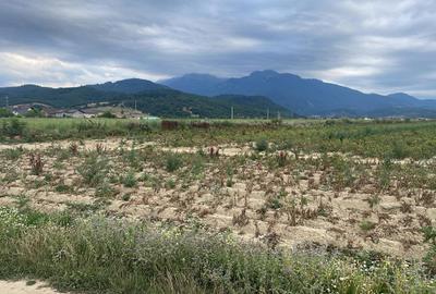 Teren Construcții intravilan de 9940 mp, în Glăjărie
