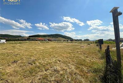 Teren intravilan zona Aerodrom, Teraplast Arena - 3