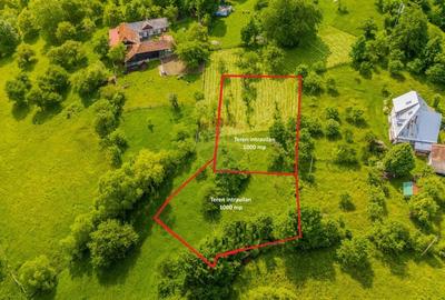 Teren intravilan, 1000 mp, Bran - 3