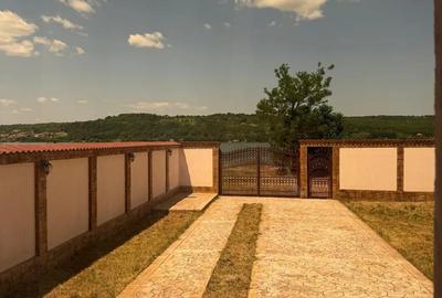 2 Case Vacanta sat Vrancea la Dunare - 4