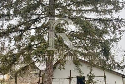 Casă cu 4 camere cu Teren 2000 Mp în Borș - 17