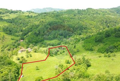 Teren intravilan de vis in Mun?ii Apuseni, curent + izv... - 3