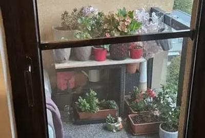 Apartament Lux 2 Camere Rond Alba Iulia - 8