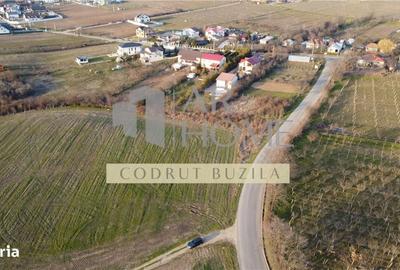 Teren de 2500 mp, în Bucov - 5