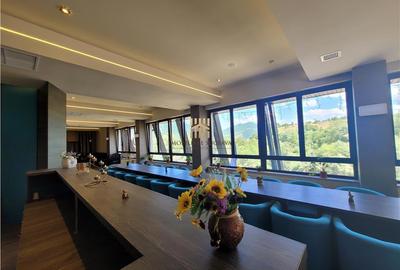 Pensiune de lux in Bucovina! - 18