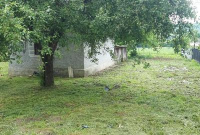 Teren de 3000 mp, în Dumbrăvița - 7