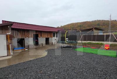 Casa complet mobilata ?i utilata, garaj dublu, curte spa - 14