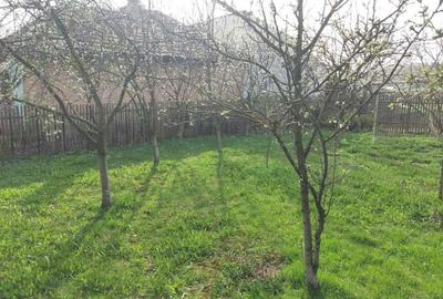 Casă cu 2 camere în Iclod - 2