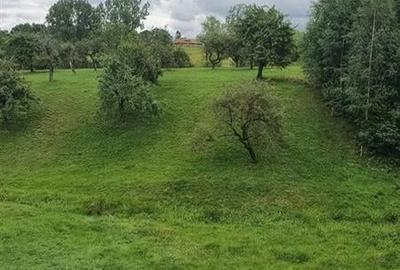 Pensiune Sohodol pe 3600 mp, Bran, Brasov - 3
