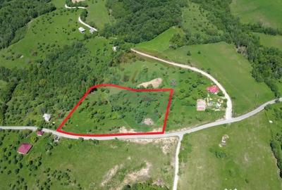 Teren de 55600 mp, în Codru Butesii - 18