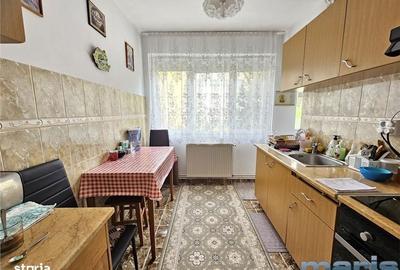 Apartament cu 2 camere semidecomandat în Lefaia
