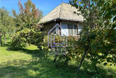 Teren de 4872 mp, în Antoceni - 4