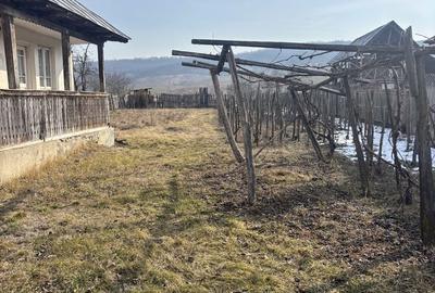 Casă cu 2 camere în Butanu - 4