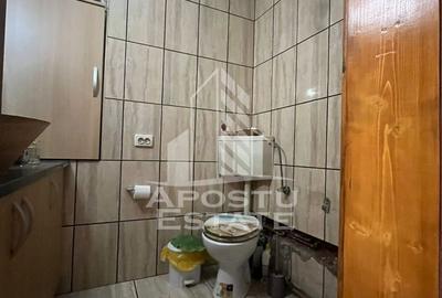 Casa cu 4 camere si teren de 2698 mp in zona Freidorf, Comision 0 - 8