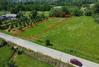 Teren de vanzare in comuna Domne?ti, jude? Arge?. - 11