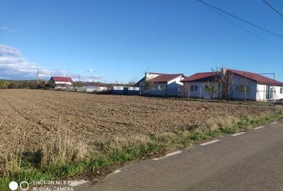 Snagov Ghermănești 4000 Mp Teren de vânzare L3 S+P+1E+M LIDL Ieșirea Spre A3 - 10