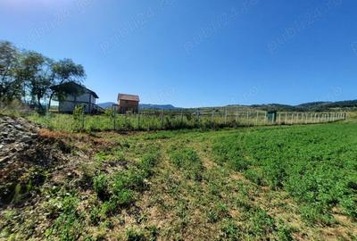 Teren de 1000 mp, în Berzasca - 1