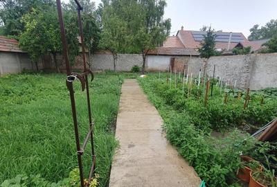 Casa in Csanadpalota-Ungaria - ID : RH-40568-property - 12