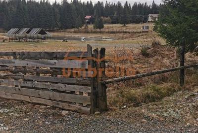 De vanzare teren 1.238/? Belis langa Pescarie - La Gavrila ! 21/? - 6