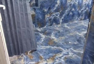 PROPRIETAR/CASA SINGUR CURTE/GARA DE NORD/PIATA VICTORIEI/COTROCENI/STIRBEI VODA - 11