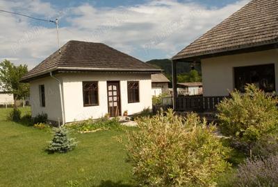 Casa tradi?ionala renovata (2023), 3 anexe, 22.696 mp teren zona Leghin, Neamt - 4