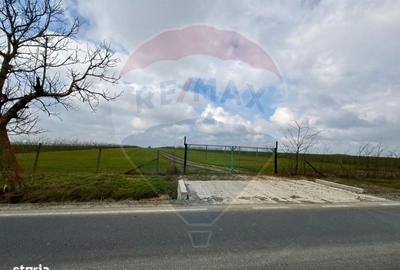 Spațiu comercial, în Săcele - 4