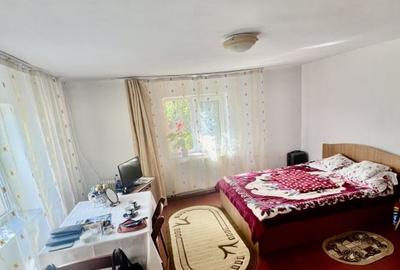 CASA MOARA GRECILOR,VASLUI - 3