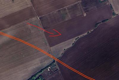 Teren agricol extravilan de 50000 mp, în Torontalului - 1