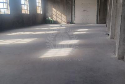 Spațiu comercial, de 962 mp, în Bereasca - 2