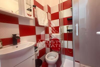 Apartament cu o camera ,  renovat , prima inchiriere , zona Buziasului - 3