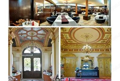 Spațiu comercial, în Romană - 5