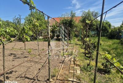 Casă cu 5 camere cu Teren 1450 Mp în Central - 3