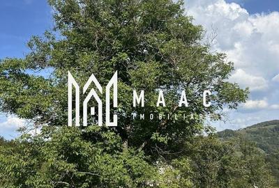 Teren Construcții intravilan de 14242 mp, în Sohodol - 6