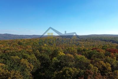 Teren Construcții intravilan de 7000 mp, în Vărbila - 5