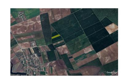 Teren agricol extravilan de 18320 mp, în Corbeanca