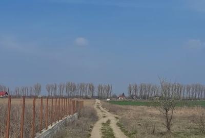 Teren de 6835 mp, în Siliștea Snagovului - 1