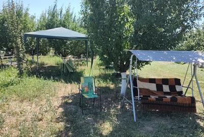 Teren Construcții intravilan de 1200 mp, în Căscioarele (Ulmi) - 8