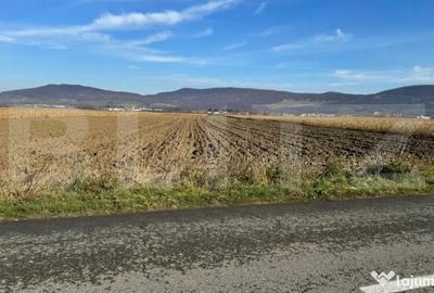 Teren de 5300 mp, în Arcalia - 3