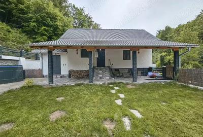 Casa de vanzare casa de vacan?a in sat turistic Suncuius (BH) oportunitate de afaceri - 1