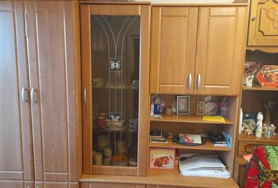 Apartament cu 2 camere semidecomandat în Șagului - 6