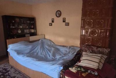 Casă cu 4 camere în Băbiciu - 2