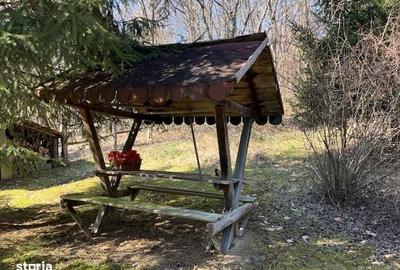 Casă cu 3 camere în Julița - 7