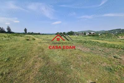 Teren intravilan in Campina, 7500mp--35e - 1