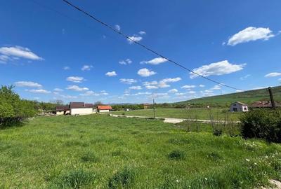 Teren de 1250 mp, în Răscruci - 3