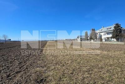 Teren de 20 ari | Intravilan | Iluminat stradal | 34.000 EUR Pătrăuți - 1