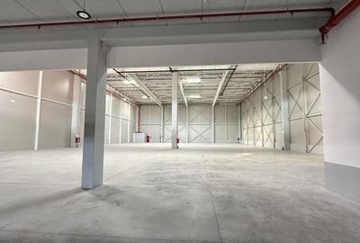 Hale de inchiriat aproape de DNCB - 10