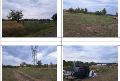 Teren extravilan arabil loc. Prunisor, jud. Mehedinti - 4